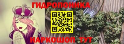 СК Рыбинск