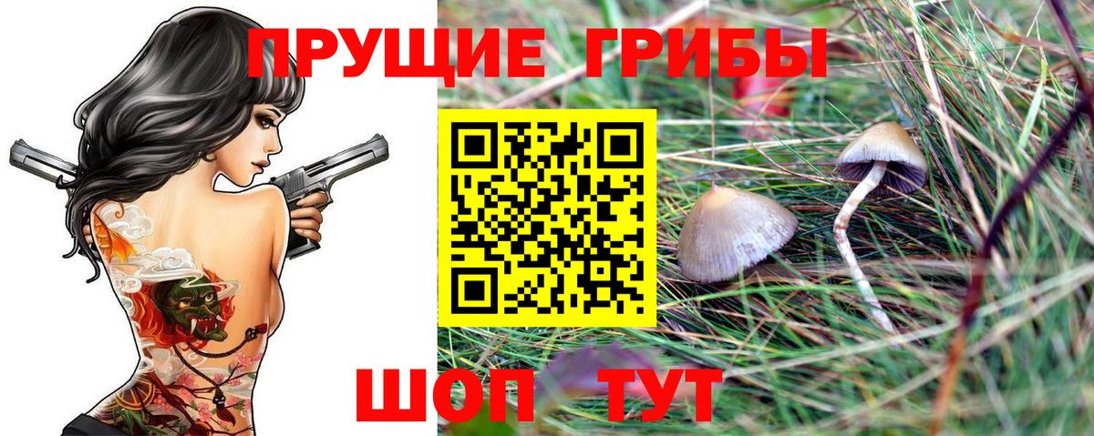 Галлюциногенные грибы мухоморы Родники